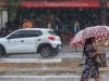  Clima 