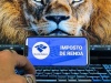 Brasil 