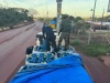  Policial 