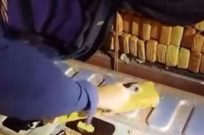  Caminhonete furtada é abandonada em fuga e polícia encontra 1,5t de maconha em canavial 