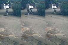  Enquanto voltava do trabalho, jovem é esfaqueada pelo ex escondido em moita em MS 