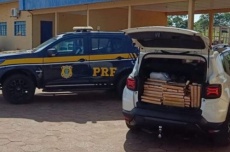  Motorista é preso transportando quase meia tonelada de maconha 