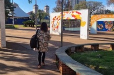 Primeira onda de frio de 2026 mantém MS com madrugadas geladas até quarta-feira 