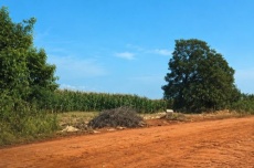  Zé Teixeira articula pavimentação em Dourados e mais saneamento em Laguna Carapã 