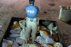  Caminhão abandonado com pneu estourado escondia 4 toneladas de maconha 