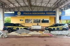  Fiscalização apreende quase uma tonelada de drogas em MS 