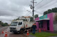  Itaporã: Enxame de abelhas ataca crianças e mobiliza Defesa Civil e Energisa no Jardim Santa Terra (Vídeo) 