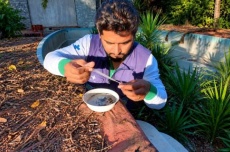  Dourados fará mutirões contra o Aedes após aumento de notificações de dengue e zika 