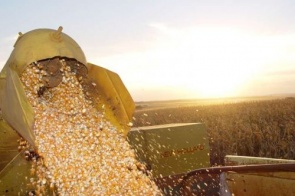 China compra 17 mil de toneladas a menos e exportações de soja em MS despencam