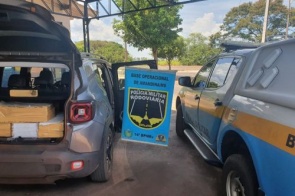Polícia apreende mais de duzentos quilos de maconha em Ivinhema