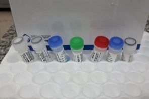 Saúde inicia compra emergencial de 10 mil kits para testes do coronavírus em MS