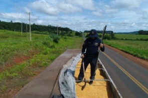 Homem é preso transportando mais uma tonelada de maconha em carreta carregada de milho