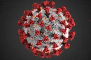 Japão quer começar a vacinar contra coronavírus no 1º semestre de 2021