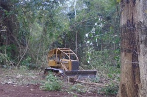 Homem é autuado em R$ 5 mil pela derrubada de 5 hectares de vegetação nativa