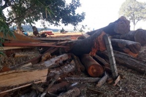 Fazendeiro é multado em mais de R$ 20 mil por incêndio e exploração ilegal de madeira