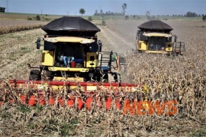 Ainda no início, colheita do milho avançou mais na região norte de MS