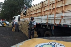 Quase três toneladas de maconha que saiu de MS são apreendidas em São Paulo