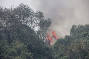 Operação Pantanal II adota nova estratégia para impedir avanço do fogo