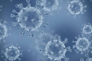 MS tem mais de 90% dos casos de coronavírus confirmados, já recuperados