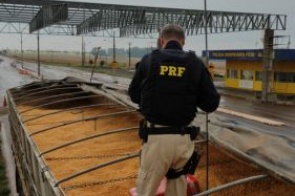 Polícia apreende carga de droga na linha de fronteira