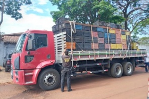 Caminhão com mais de mil e oitocentos quilos de maconha foi apreendido pelo DOF durante a Operação Hórus