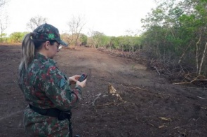 Polícia Militar Ambiental autua infrator em R$ 13 mil por desmatamento ilegal em área protegida de reserva legal