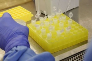 Fiocruz: vacina contra covid-19 pode chegar a testes clínicos em 2021