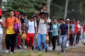 Sedhast discute atendimento aos refugiados, migrantes e apátridas em MS durante a pandemia