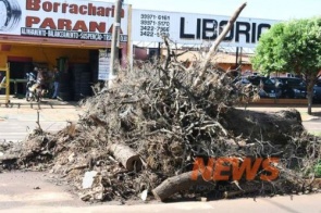 Desembargador nega apelo de urgência da prefeitura para terceirizar limpeza pública 