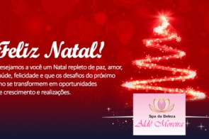 Aldê Moreira proprietária do Spa da Beleza deseja a todos os amigos e clientes Feliz Natal