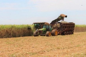 Com mercado aquecido, Mato Grosso do Sul aumentou em cinco vezes a exportação de açúcar