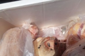 Em operação conjunta, Polícia Civil prende em flagrante dono de açougue que vendia carne estragada