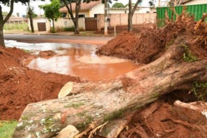 Adutora se rompe durante retirada de árvore e parte da cidade pode ficar sem água