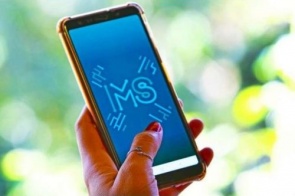 Pandemia fortalece uso da tecnologia e aplicativo MS Digital completa um ano de serviços ao cidadão