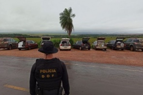 Comboio de veículos com produtos ilegais avaliados em mais de 600 mil reais são apreendidos durante operação policial