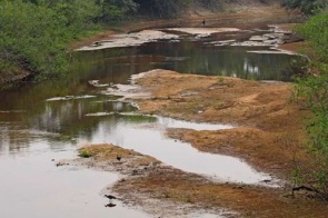 Com baixa estação chuvosa, Pantanal já tem 80% das propriedades afetadas