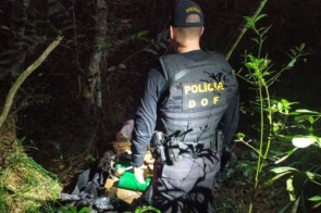 Polícia localiza mais de 70 kg de maconha em entreposto no meio da mata em Dourados