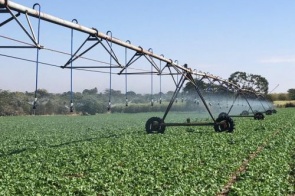 O caminho para a agricultura irrigada de alta eficiência em Mato Grosso do Sul