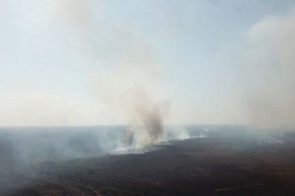 Operação combateu 16,5 mil incêndios florestais em três meses