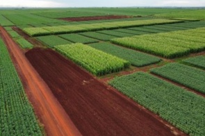 Fazenda Experimental da UFGD sediará o 1º Agro Show Dourados