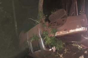 Motorista atropela anta, carro capota e dois ficam feridos em Corumbá