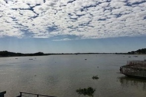 Apesar das chuvas, Pantanal ainda sofre com efeitos provocados pela seca severa dos últimos anos em MS