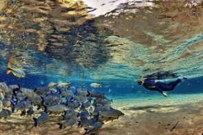 Mês ideal para flutuação e mergulho no rio da Prata