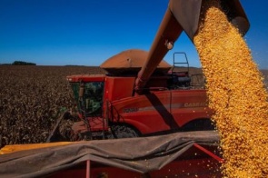 IBGE reduz previsão, mas Brasil deve ter safra recorde de grãos