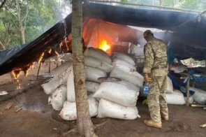 Polícia paraguaia destrói acampamentos e 38 toneladas de maconha