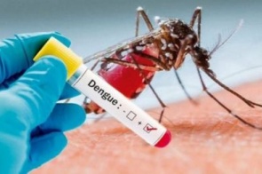 Dengue faz mais uma vítima e novos casos crescem mais de 40% em uma semana