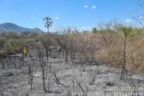Em 2022, área queimada no Pantanal é 26% maior que ano passado
