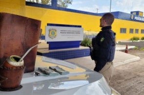 Polícia encontra 10 mil dólares sem procedência em bolsa 'mateira'