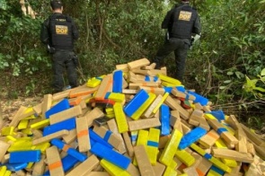 Polícia apreende 1.130 quilos de drogas em mata às margens da MS-280 
