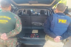 Com mais de R$ 7 milhões em drogas, traficante boliviano é preso no MS durante fiscalização
